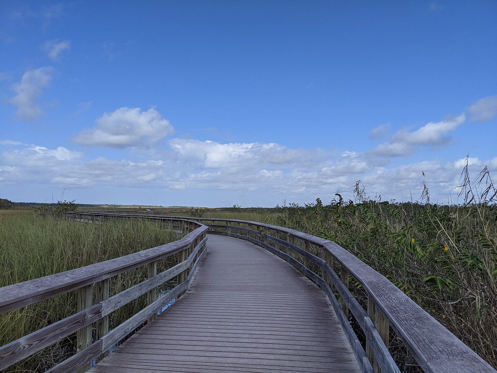 Park Narodowy Everglades — fotografia